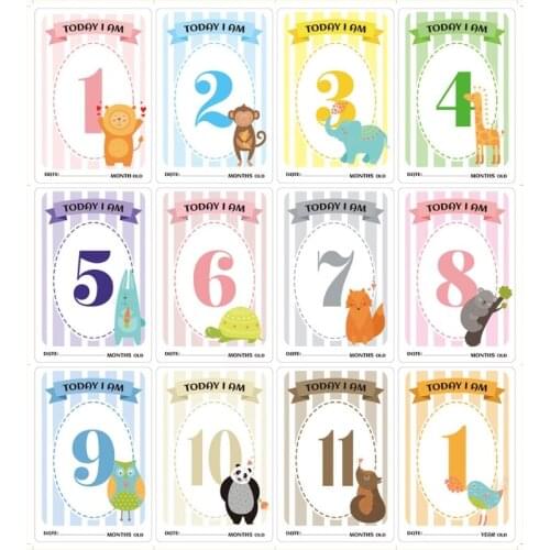 12 Sheet Baby Milestone Cards Newborn Monthly Memorial Growth Record Photo Cards Photo Sharing CardsInfant Baby Photo Landmark
