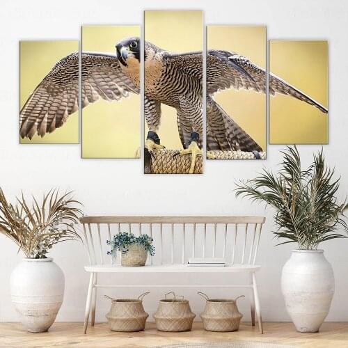 Posters Picture On Canvas Wall Art 5 Pieces Falcon Animals Modular Decoration Living Room Home Hd Print Modern Painting No Frame