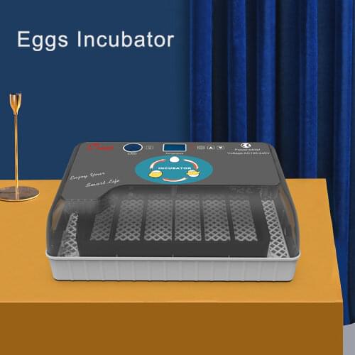 12 Eggs Incubator fully automatic intelligent chicken, duck and bird egg incubator machine small household incubator