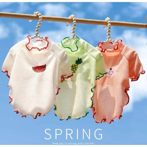 Pet Clothes Girl Dog Shirts Fungus Curling Bottoming Shirt Fruit Style Pet Supplies Two-legged Clothes for Puppy Dogs Dog Shirt
