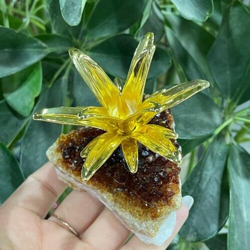 Natural Citrine Quartz Cluster Crystal Pineapple Specimen Energy Healing