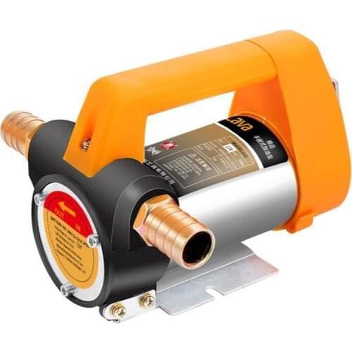 Portable 220V diesel pump DC 12V/24V electric diesel kerosene transfer pump 60L/min vehicle oil pump with accessories