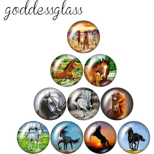 Cute Animals Horse Cat Elk Rabbits 10pcs mixed 12mm/18mm/20mm/25mm Round photo glass cabochon demo flat back Making findings