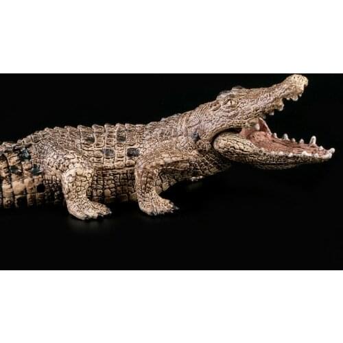 Simulation of Crocodiles Solid Model Ancient Crocodile Nile Alligator Model Cayman Prop Wildlife Wild Animal Cayman Decor Gift
