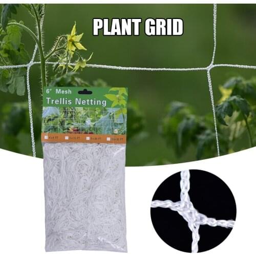 Plant Trellis Netting Polyester Climbing Net Grow Net Braided Mesh for Climbing Fruits Grapes Vegetables Cucumber Pea SD