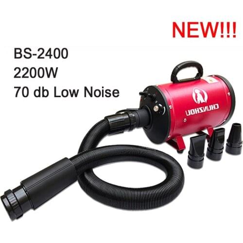 A,Cheap Dog Grooming Dryer bs 2400 Pet Hair Dryer Blower 220V /2200W/ 70 db ALL Plug red/ Blue Color fast to russian