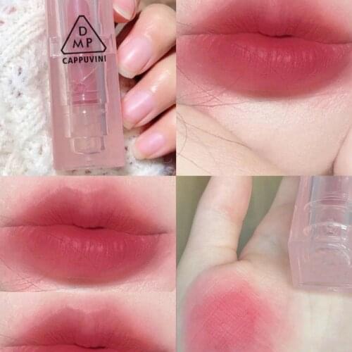 Moisturizing Lipstick Dark Red Orange Rose Cream Long Lasting Waterproof Strawberry Cherry Velvet Matte Lip Gloss TSLM1