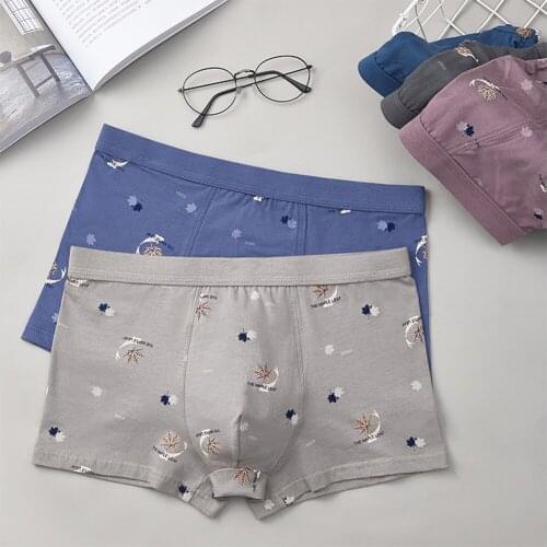 Dropship New Men Boxer Shorts Mens Underwear Boxers Soft Cotton Prined Boxershorts Comfort Male Panties Seamless Underpants