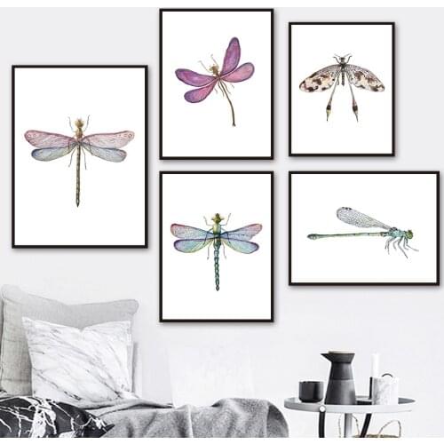 Insect Butterfly Dragonfly Wings Specimen Wall Art Canvas Painting Nordic Posters And Prints Wall Pictures For Living Room Decor