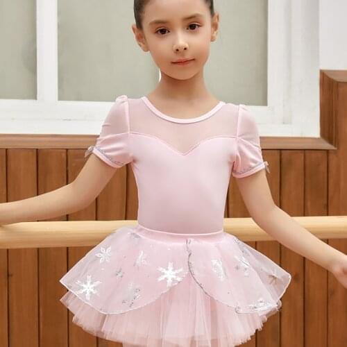 Ballet Dress Girls Dance Leotard Ballet Tutu Skirt Ballerina Mesh Leotard Classic Costumes for Dancing Kids Dancewear Swimsuit