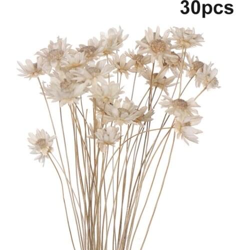 30pcs Dried Flower Brazilian Little Star Flower Gypsophila Chrysanthemum Art Decor DIY JW
