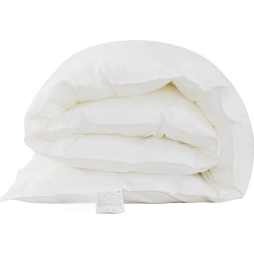 Home Stay Hotel Quilt Core Spring And Autumn Quilt Soft, Fluffy And Warm, Thickened Double Winter Quilt Air Conditioning Quilt