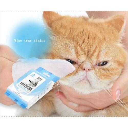 25 Pcs/lot Pet Hypoallergenic Wipes for Cats Deodorizing Grooming Wipes for Paws Body Butt Eye Clean Wet Towel
