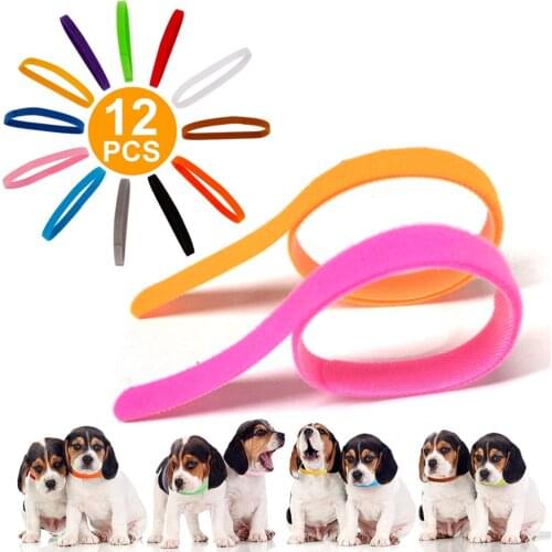 12 Pcs/Set Soft Nylon Puppy Newborn Pet ID Identify Collars Adjustable Colorful Whelping Small Dogs Cats Kitten Velcro Collars
