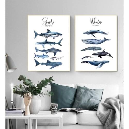 Education Wall Picture Nordic Kid Baby Bedroom Decor Nautical Sea Nursery Painting Whale Shark Canvas Poster Animal Art Print