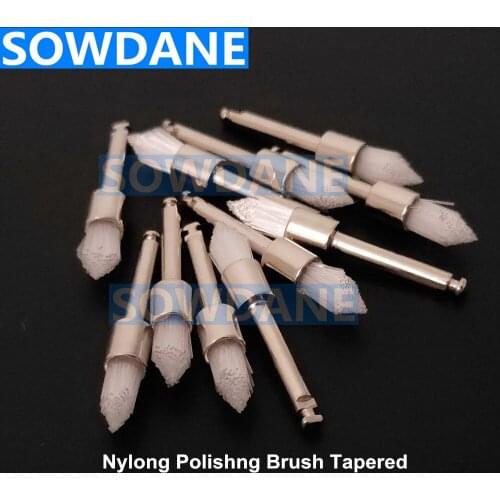 Dental Polishing Brush Polisher Prophy Cup Brushes Nylon Latch Tapered Brush Teeth Polisher Prophy Brushes for Contra Angle Hand