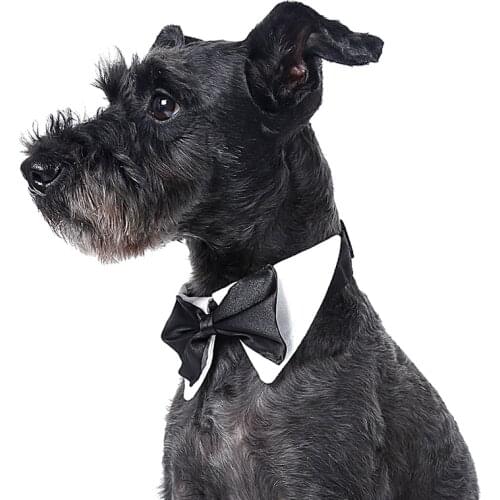 FUN OF PETS Dog Care Products