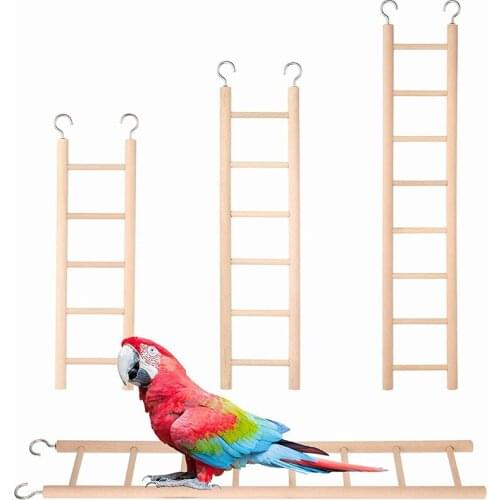 OLN Cage Ladders