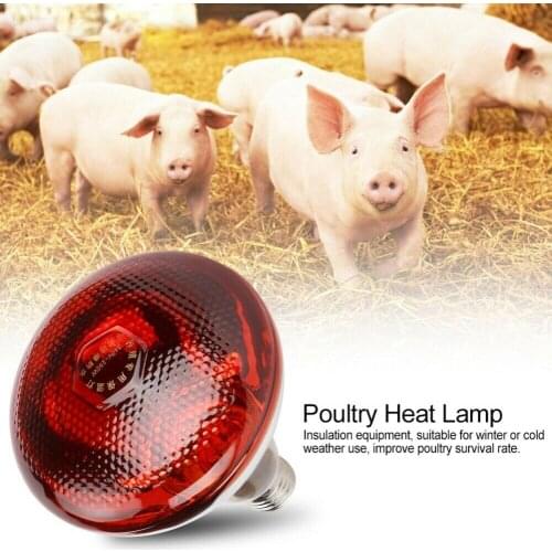 240V Infra Red Heat Lamp Poultry Brooder Chicks Waterproof Hatching Puppies Piglet Bulb SEC88