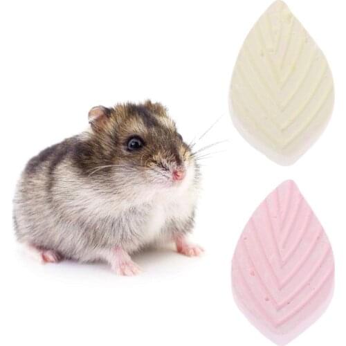 Small Pet Hamster Chew Toy Leaf Shaped Rabbit Bird Teeth Grinding Stone