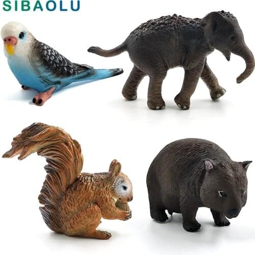 Simulation Squirrel Elephant Parrot Wombat Animal model figurine home decor miniature fairy garden decoration accessories modern
