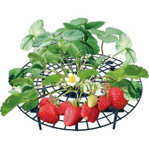 5/10/20 PCS Strawberry Stand Frame Holder Balcony Planting Rack Fruit Support Plant Flower Climbing Vine Pillar Gardening Stand