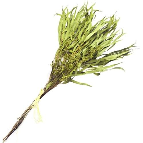 5 Stems Dried Natural Eucalyptus Branches Slender Leaves Flower Arrangement Decor