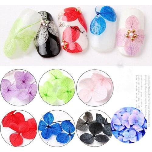 1 Box 24Pcs Real Nail Hydrangea Dried Flowers Nail Art Decoration DIY Tips Small Flowers Nails Stickers For Manicure Tools