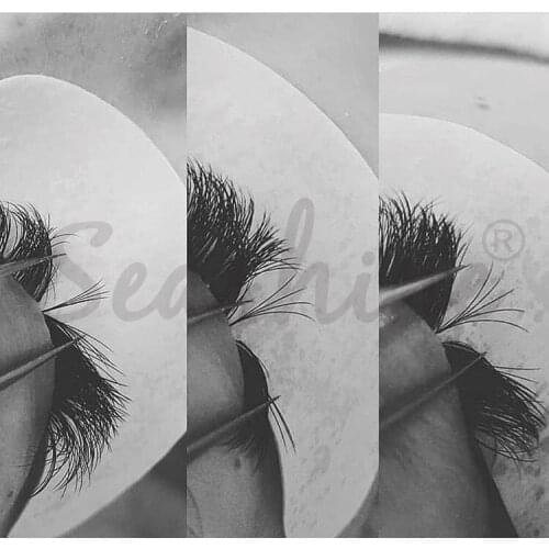 4 Trays Russian Volume Fans Heat Bonded Pre Made Volume Fans Faux Mink Premade Volume Eyelash Extension Supplies