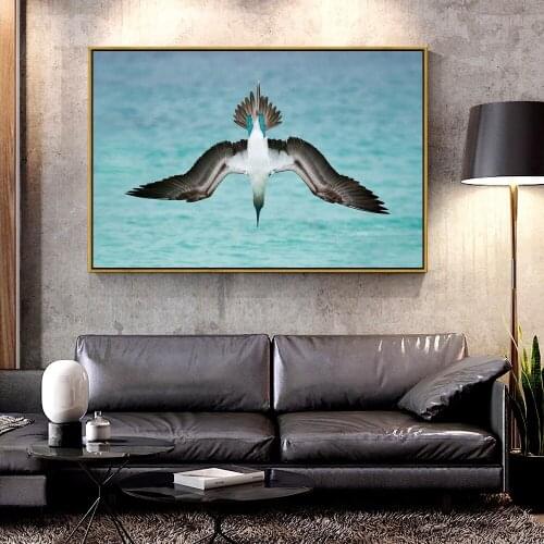 Artcozy Oil Canvas Painting blue-footed-booby For Home Decoration Wall Art