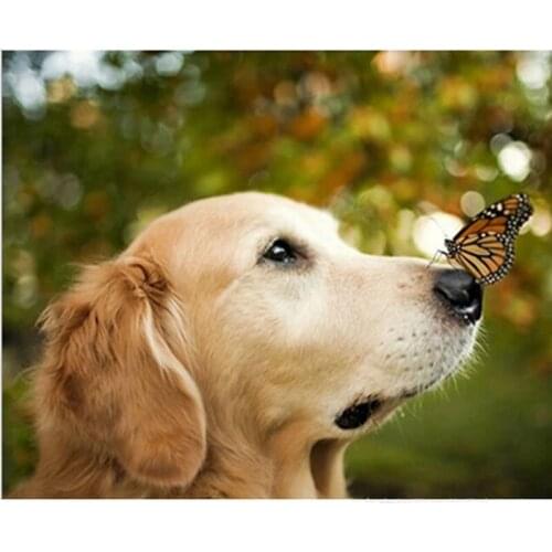 5D DIY Diamond Painting Cross Stitch Diamond Embroidery Square/round Mosaic Kits Home Decoration Lovely Dog Butterfly