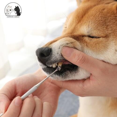 Pet Dog Tartar Calculu Cleaning Tool Pet Stainless Steel Double Head Tooth Clean Brush Prenvent Bad Breath Cat Dog Grooming Tool