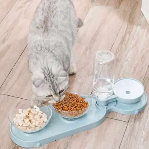 Pet Double Bowls Dog Cat Food Water Feeder Container Dispenser Food Bowl Set with Automatic Waterer Bottle For Small Dog Cat