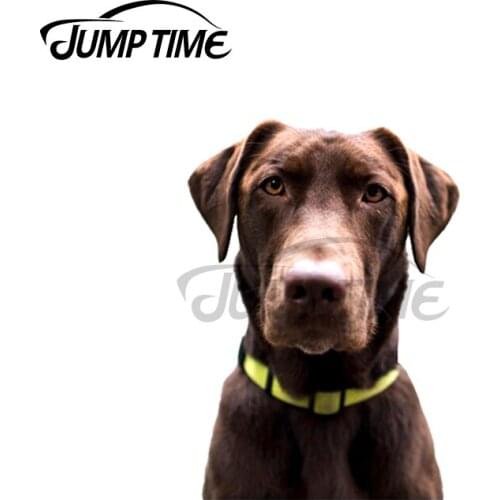 Jump Time 13 x 6.8cm For Chocolate Labrador Retriever Personality Creative Dog Car Stickers Vinyl Material Decal Car Accessories