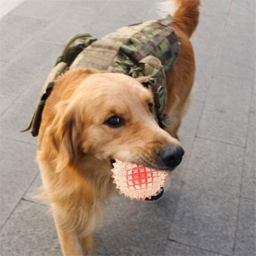 Pet Dog Toys for Large Small Dogs Toy Dog Toys Pet Puppy Interactive Dog Toys Ball for Dogs Accessories Toothbrush Chew Puppy