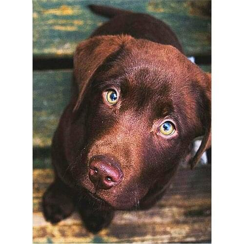 Animal Dog Dachshund Printed Fabric 11CT Cross Stitch DIY Embroidery Set DMC Threads Knitting Painting Needlework Stamped