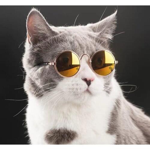 Cool Pet Cat Glasses Dog Glasses Pet Supplies Cat Funny Kitty Toy Personality Teddy Dog Sunglasses Colorful Dog Accessoires