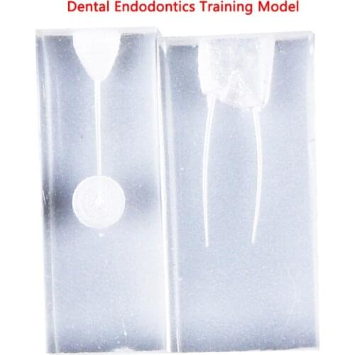 2 Styles Dental Endo Training Block Endodontics student teaching Model practice model dentistry