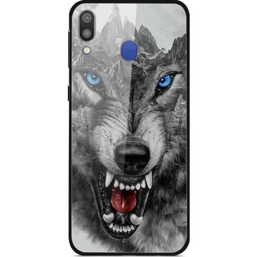 For Samsung Galaxy M20 Phone Case Tempered Glass Case Back Cover With Black Silicone Bumper Series 3