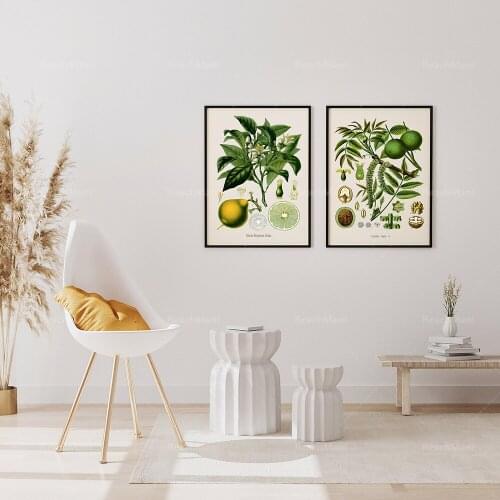 Limes & Walnuts, Set of Two Prints for Kitchen, Prints of Food, Digital Prints, Vintage Botanical Prints, Engravings, French Art