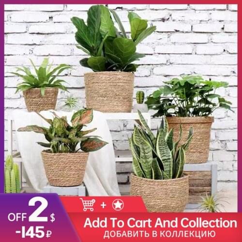 WHFY Plant Pots