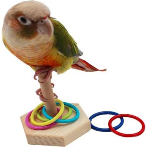 Non-toxic Bird Toy Wooden Parrot Develop Intelligence Develop Birds Toy Bird Ring Educational Training Toys