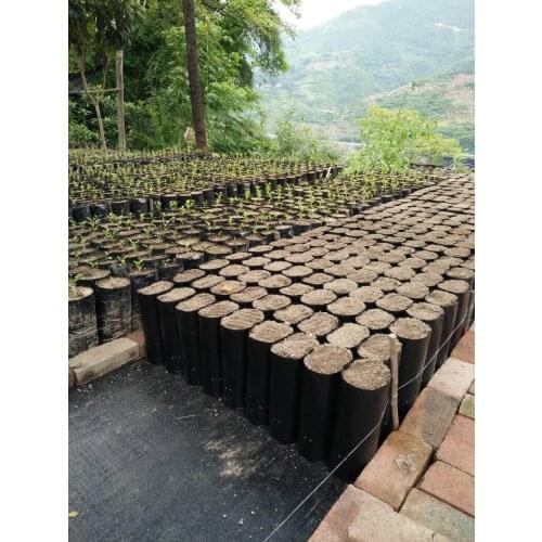 40X40CM diameter 25cm high 30cm Black thickening Nursery bag lemon Fruit seeds citrus