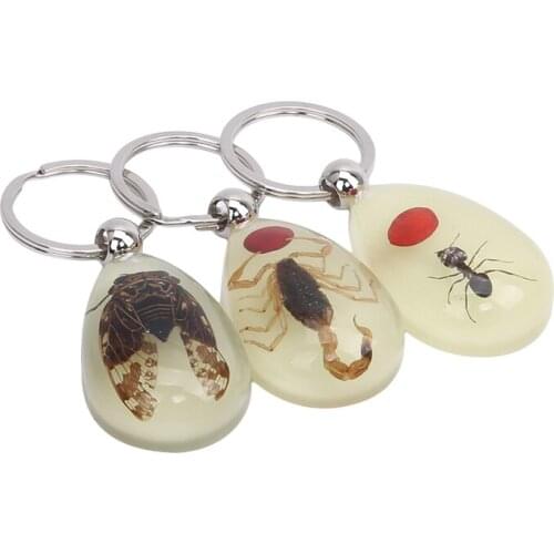 Glow-in-the-Dark Real Insect Keychain Luminous Handmade Resin Natural Green Beetle Key Ring Unique Key Chain For Woman Man