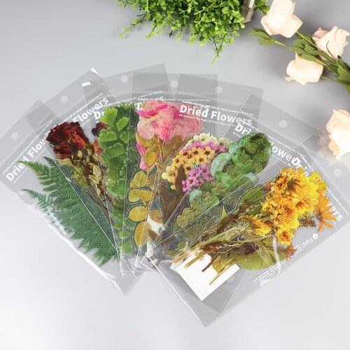 6Pcs/Bag Flowers Leaves Plants PET Stickers For Scrapbooking Materials DIY Album Diary Decoration Stickers