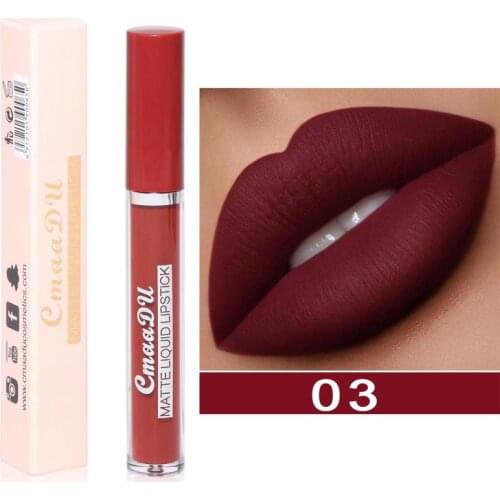 10 Colors Matte Lip Glaze Makeup Natural Waterproof Long Lasting Non-stick Liquid Lip Gloss Moisturizing Lipstick CosmeticsTSLM1