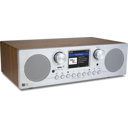 Latest Ocean Digital WR800F Multifunction WIFI Network FM Radio TF Card Bluetooth Speaker Radio