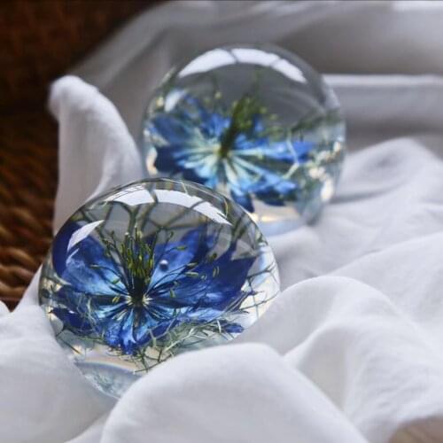 Dandelion plant specimen Paperweight creative decoration non Zhou sola girlfriend teachers Day gift immortal flower