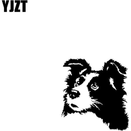 YJZT 15.7CM*16CM Vinyl Decal Best Friends Phrase Dog Puppy Pet Car Sticker Black/Silver C10-00461