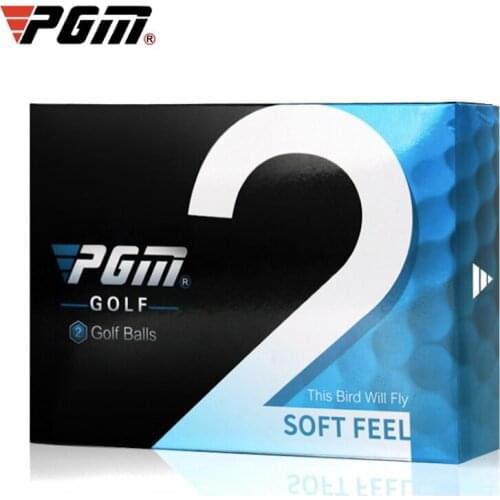 PGM GOLF Ball Two Layer 42.7mm Practise Special Use Wholesale